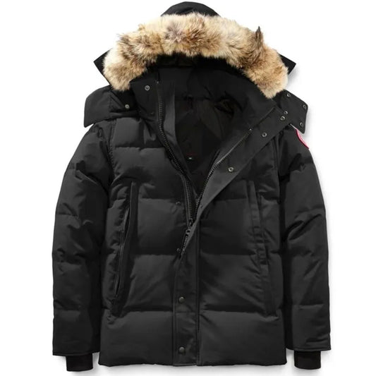 Canada goose Noir